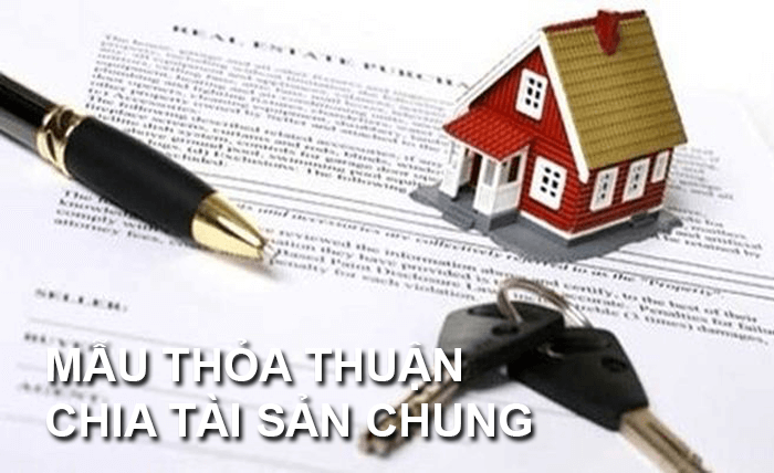 Dịch vụ tư vấn thỏa thuận chia tài sản khi ly hôn tại Hồ Chí Minh