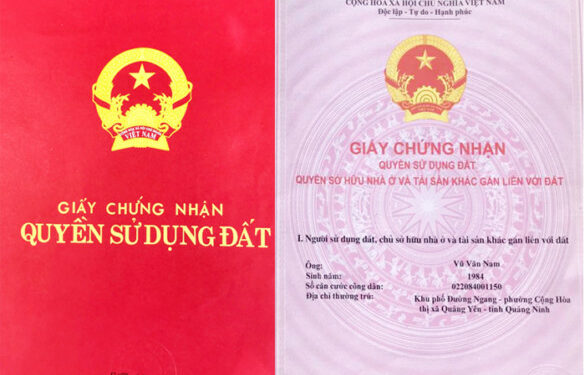 Dịch vụ xin trích lục thông tin sổ đỏ tại Hồ Chí Minh