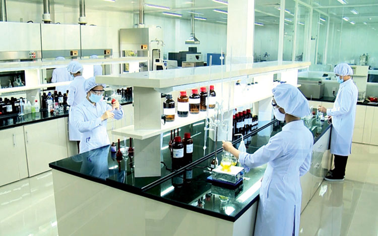 Thủ tục thành lập công ty dược phẩm tại Hồ Chí Minh